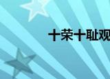 十荣十耻观后感（十荣十耻）