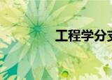 工程学分支（工程学分支）