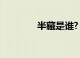 半藏是谁?（服部半藏是谁）