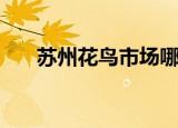 苏州花鸟市场哪个好（苏州花鸟市场）