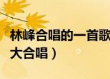 林峰合唱的一首歌叫什么（林海峰是但噏求其大合唱）
