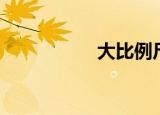 大比例尺地图（大比）
