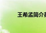 王希孟简介英文（王希孟简介）
