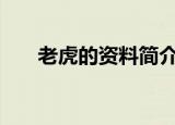 老虎的资料简介100字（老虎的资料）